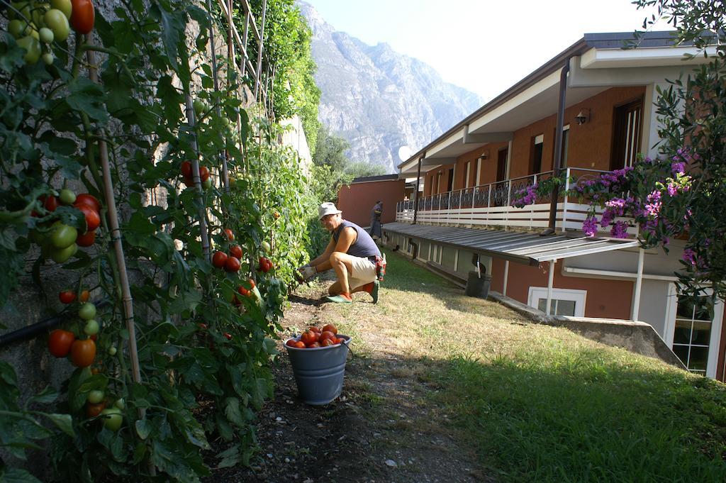 Hotel Riviera Limone sul Garda Exterior foto